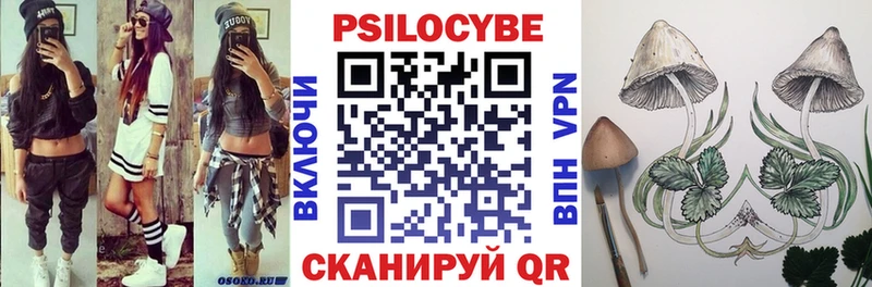 Псилоцибиновые грибы мицелий  как найти наркотики  Дзержинский 