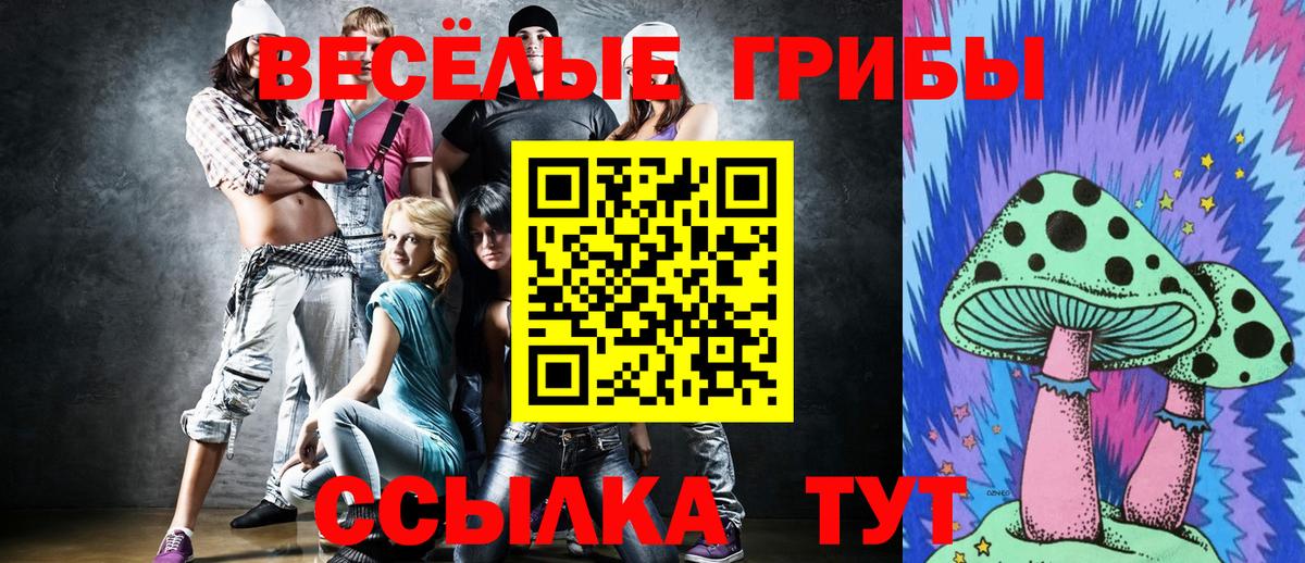 Галлюциногенные грибы Cubensis Дзержинский