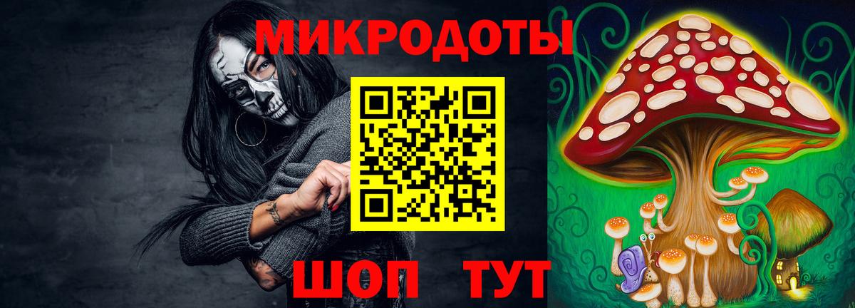 Дзержинский  Галлюциногенные грибы прущие грибы  Вход с VPN 